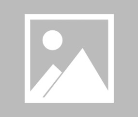 网上百家乐官网-法兰克福神锋引发转会狂潮，利物浦报价惊人！